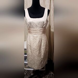 Silk/Cotton Dress by Jones New York- Size 6 - Never Worn